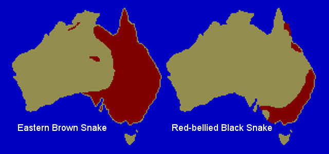 Dingo Distribution Map